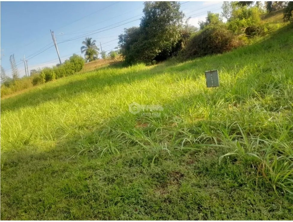 SAN CARLOS / EL VALLE VILLAGE / 1600M / AREA SOCIAL / PISCINA / AG