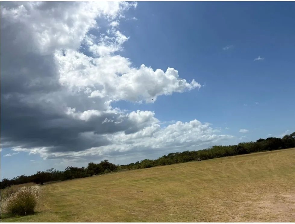 COCLE / RIO HATO / 110 HECTAREAS / SOBRE LA VIA / USO COMERCIAL / AG