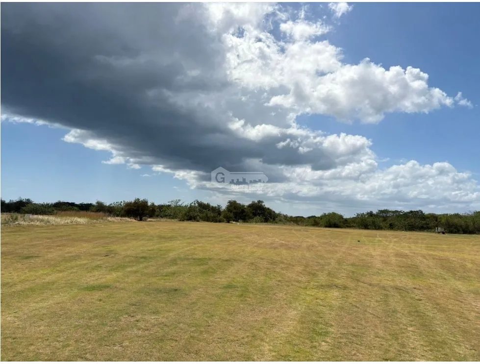 COCLE / RIO HATO / 110 HECTAREAS / SOBRE LA VIA / USO COMERCIAL / AG