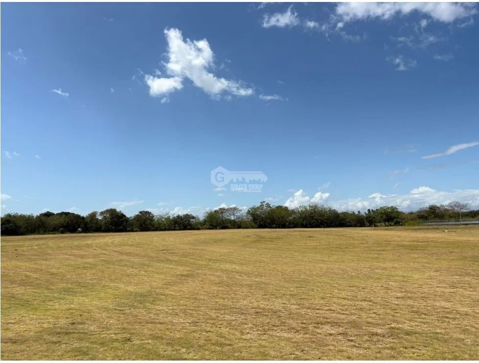 COCLE / RIO HATO / 110 HECTAREAS / SOBRE LA VIA / USO COMERCIAL / AG