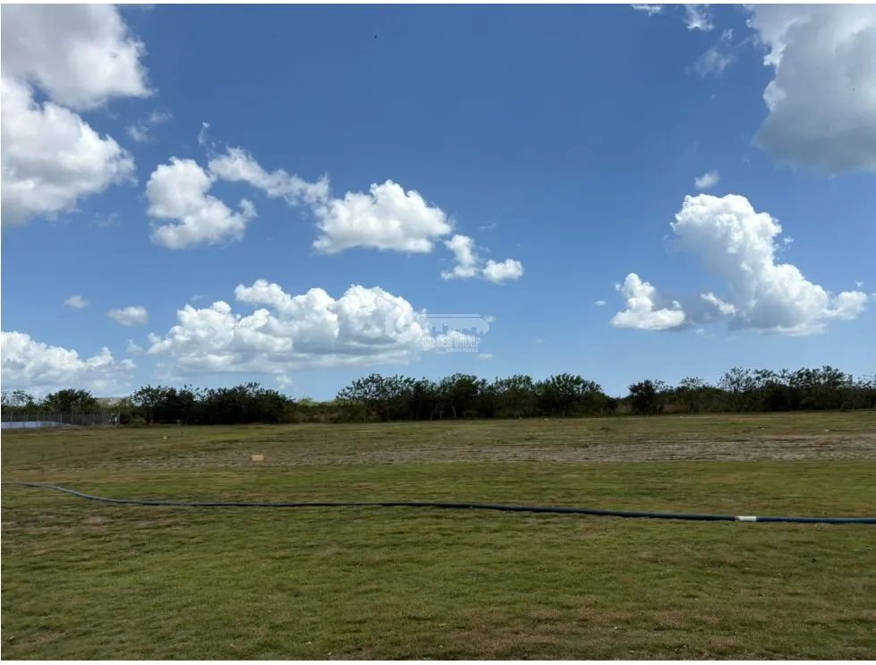 COCLE / RIO HATO / 110 HECTAREAS / SOBRE LA VIA / USO COMERCIAL / AG