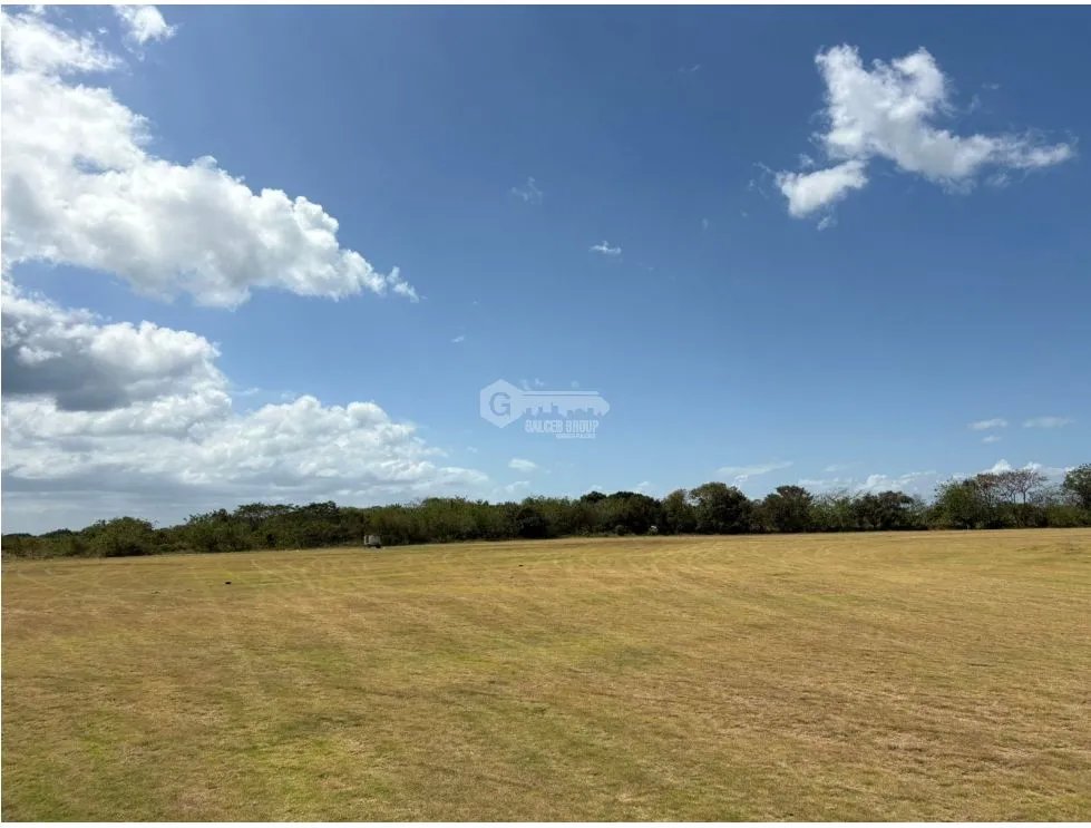 COCLE / RIO HATO / 110 HECTAREAS / SOBRE LA VIA / USO COMERCIAL / AG