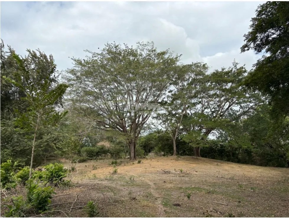 SAN CARLOS / LAS LAGARTIJAS / 250000M / GANADERIA / USO COMERCIAL AG