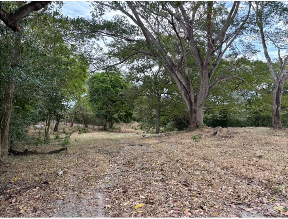 Land/Farm for sale in San Carlos