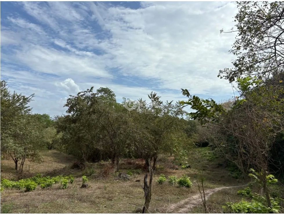 Land/Farm for sale in San Carlos