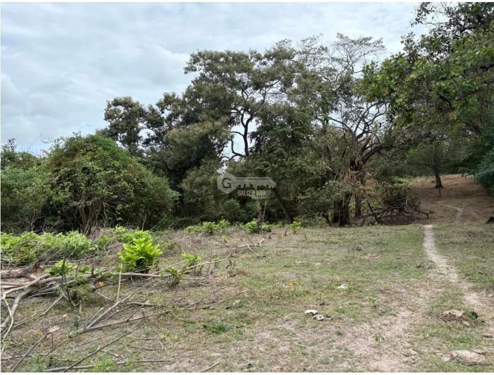 Land/Farm for sale in San Carlos