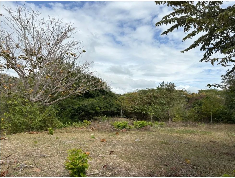 Land/Farm for sale in San Carlos