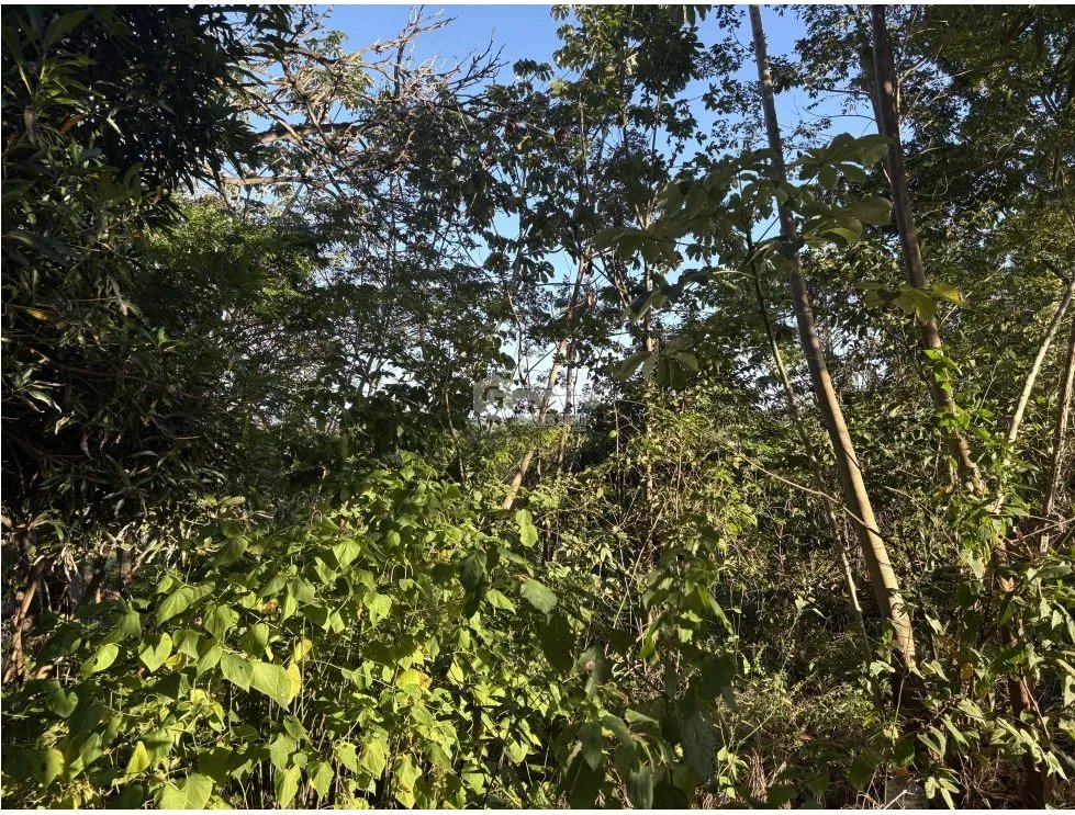 Building Lot for sale in Chame