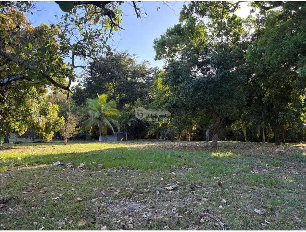 COCLE / SANTA CLARA / TERRENO / 5000 M / SOBRE LA VIA / CERCADO / AG