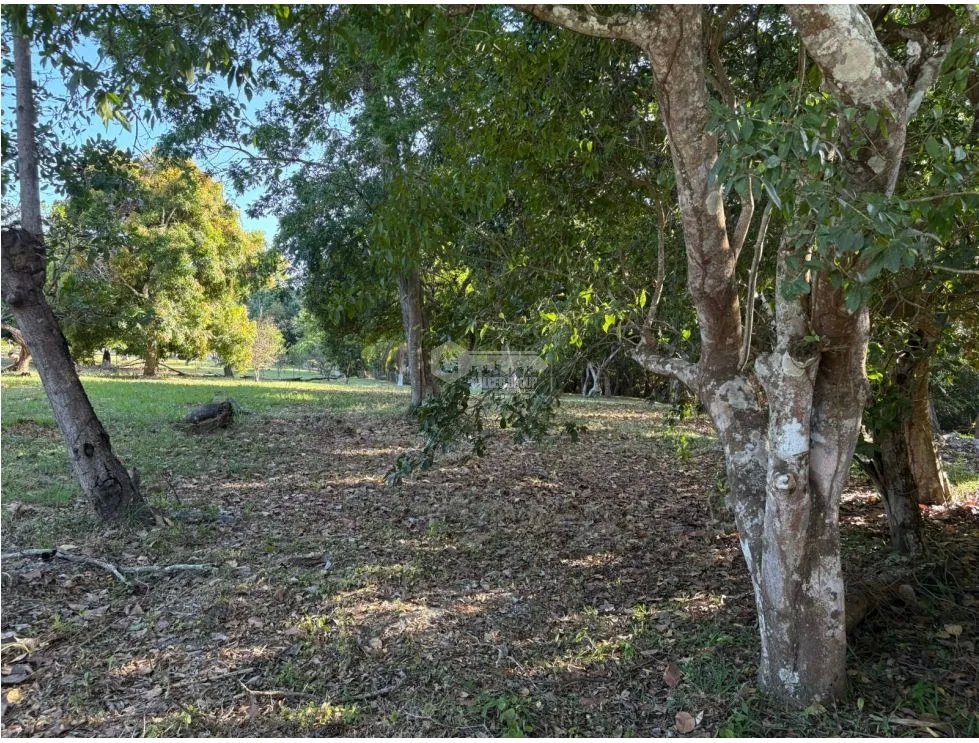 COCLE / SANTA CLARA / TERRENO / 5000 M / SOBRE LA VIA / CERCADO / AG