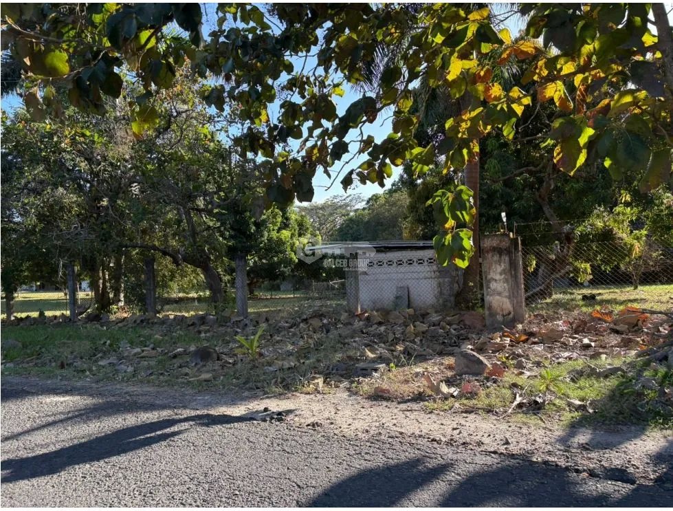 COCLE / SANTA CLARA / TERRENO / 5000 M / SOBRE LA VIA / CERCADO / AG