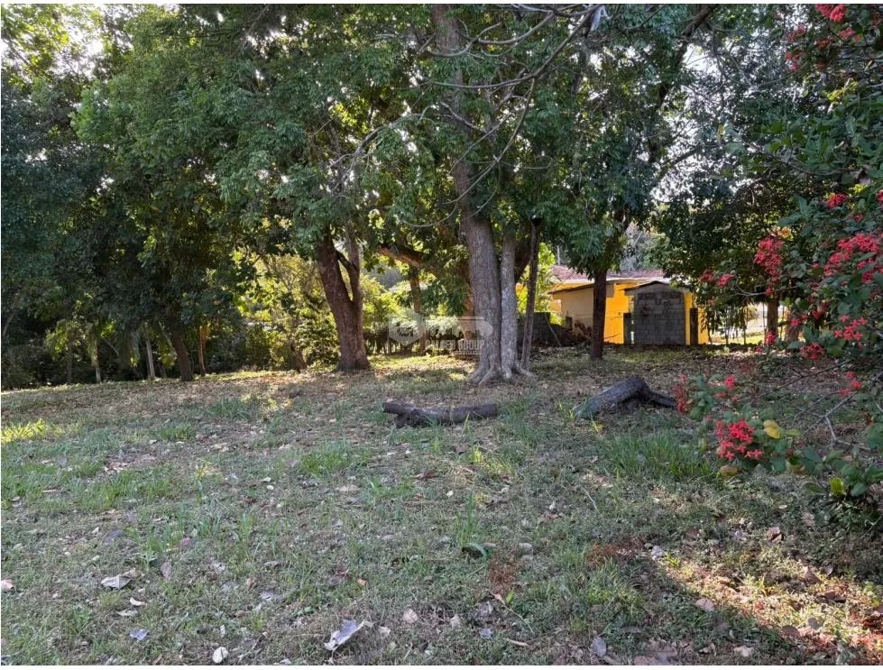 COCLE / SANTA CLARA / TERRENO / 5000 M / SOBRE LA VIA / CERCADO / AG
