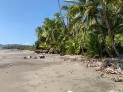 Propiedad Frente al Mar de 240 Hectáreas en Venta en Isla Cébaco, Vera...