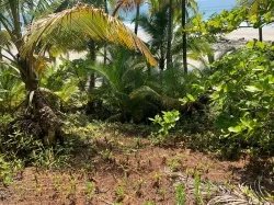 Propiedad Frente al Mar de 240 Hectáreas en Venta en Isla Cébaco, Veraguas, Panamá