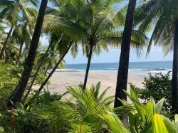 Propiedad Frente al Mar de 240 Hectáreas en Venta en Isla Cébaco, Veraguas, Panamá