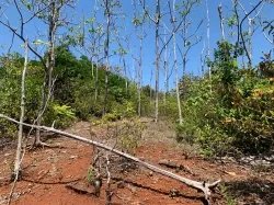 Propiedad Frente al Mar de 240 Hectáreas en Venta en Isla Cébaco, Veraguas, Panamá