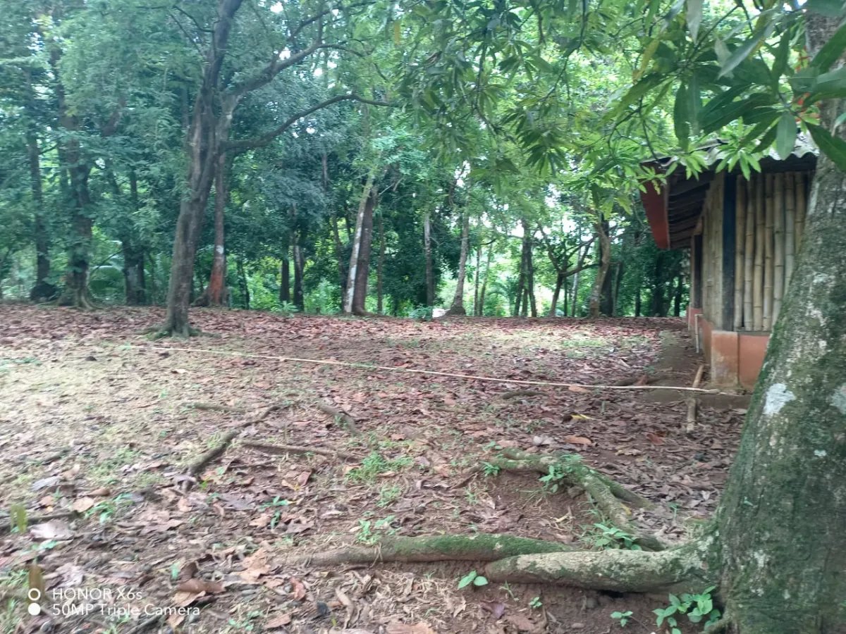 Propiedad Frente al Mar en Venta en Isla Gobernadora, Veraguas, Panamá