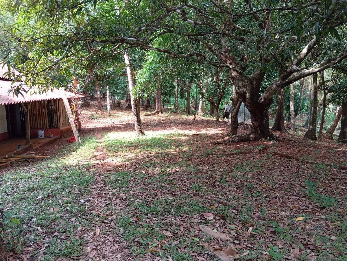 Affordable Oceanfront Property for Sale on Isla Gobernadora, Veraguas, Panama
