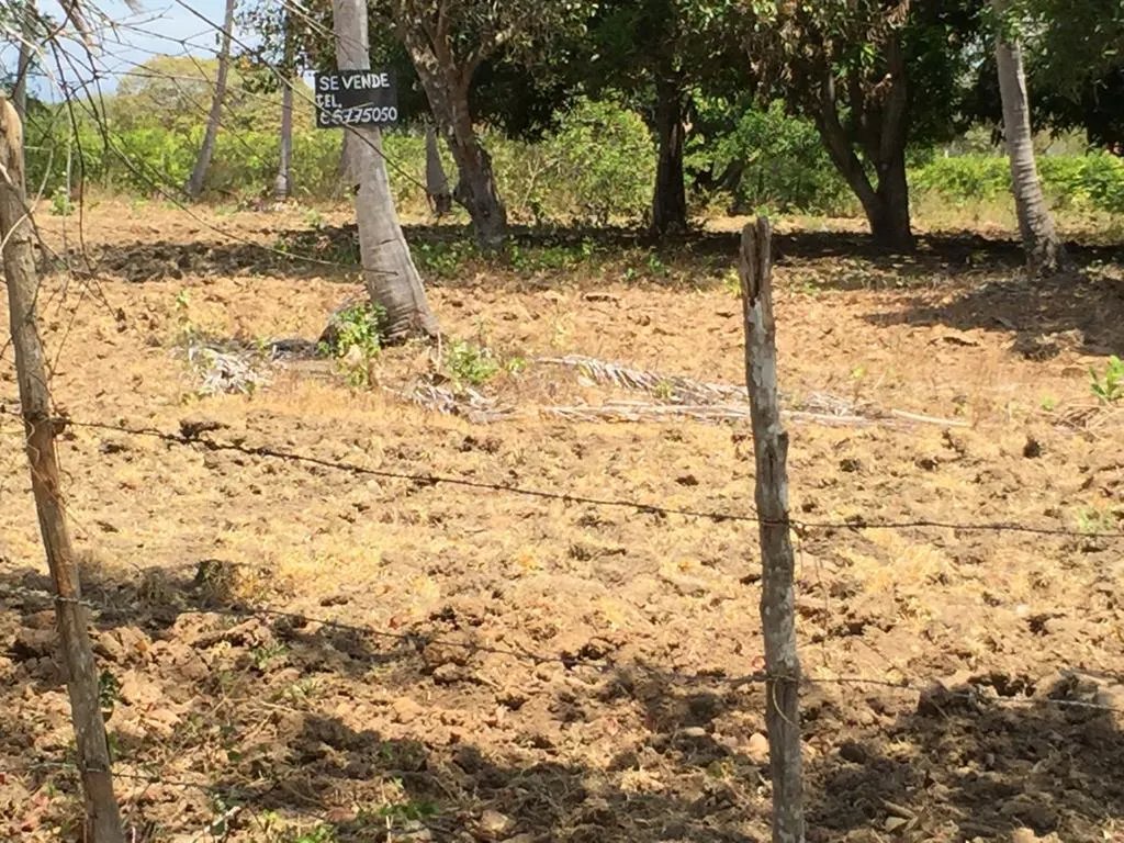 TERRENO EN VENTA EN RIO HATO