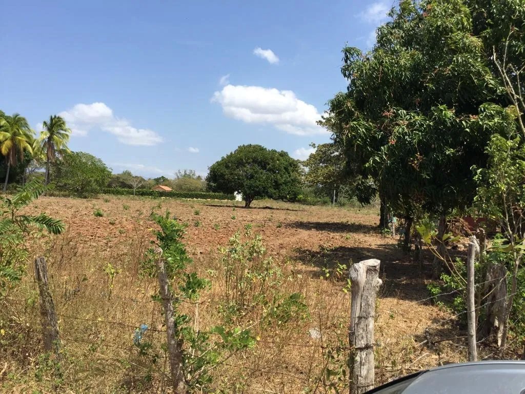 TERRENO EN VENTA EN RIO HATO
