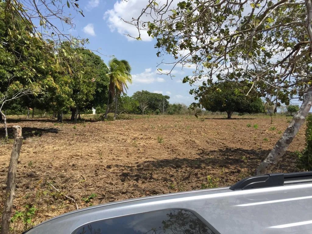 TERRENO EN VENTA EN RIO HATO