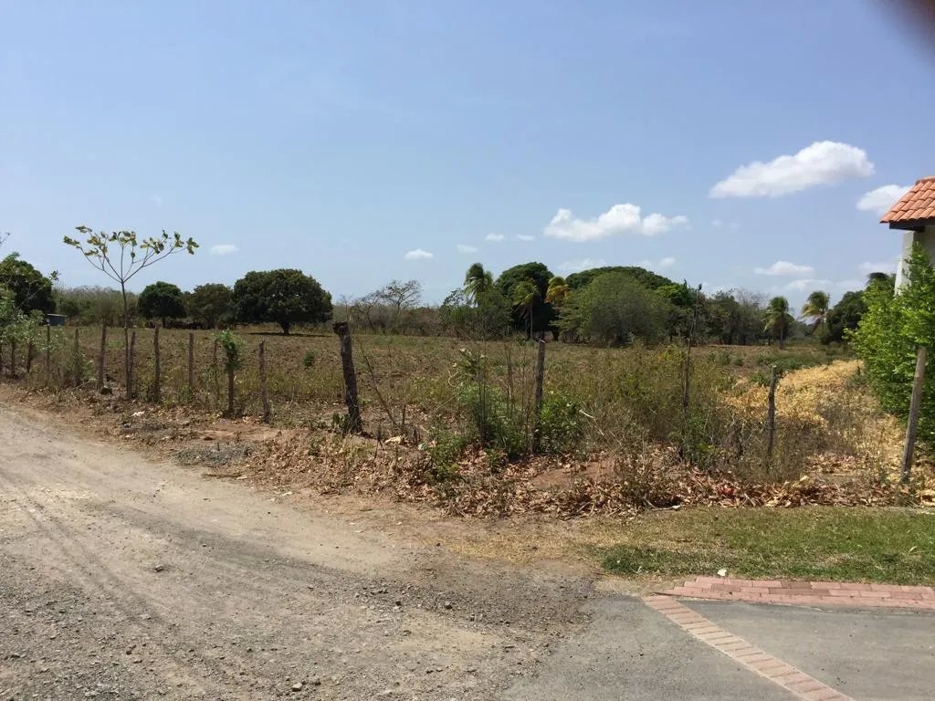 TERRENO EN VENTA EN RIO HATO