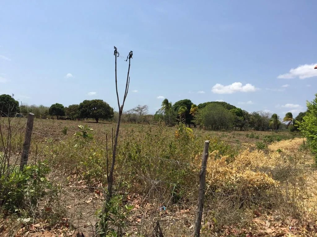 TERRENO EN VENTA EN RIO HATO