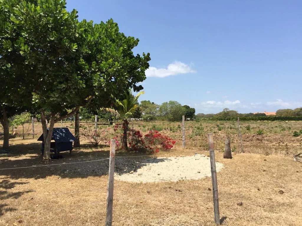 TERRENO EN VENTA EN RIO HATO