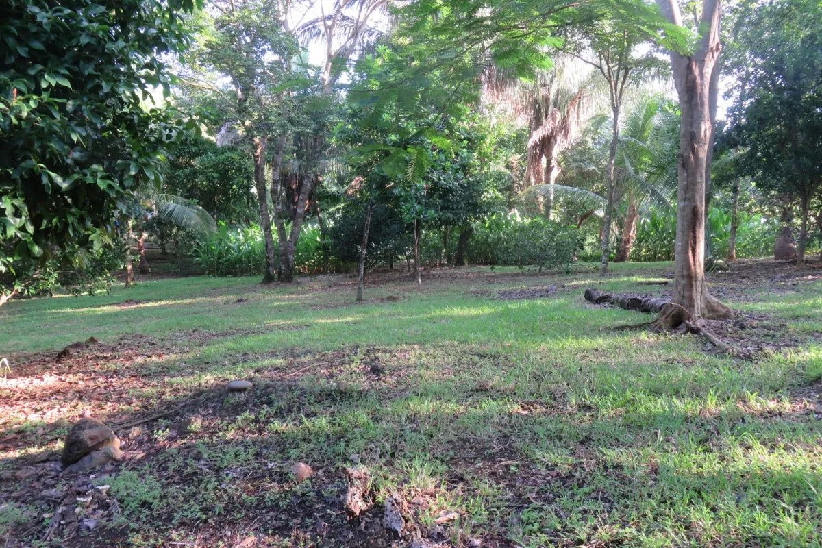 Península privada con casa y acceso al mar en Boca Chica
