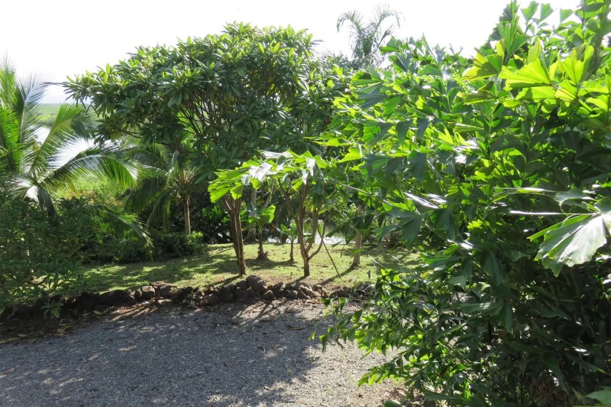 Península privada con casa y acceso al mar en Boca Chica