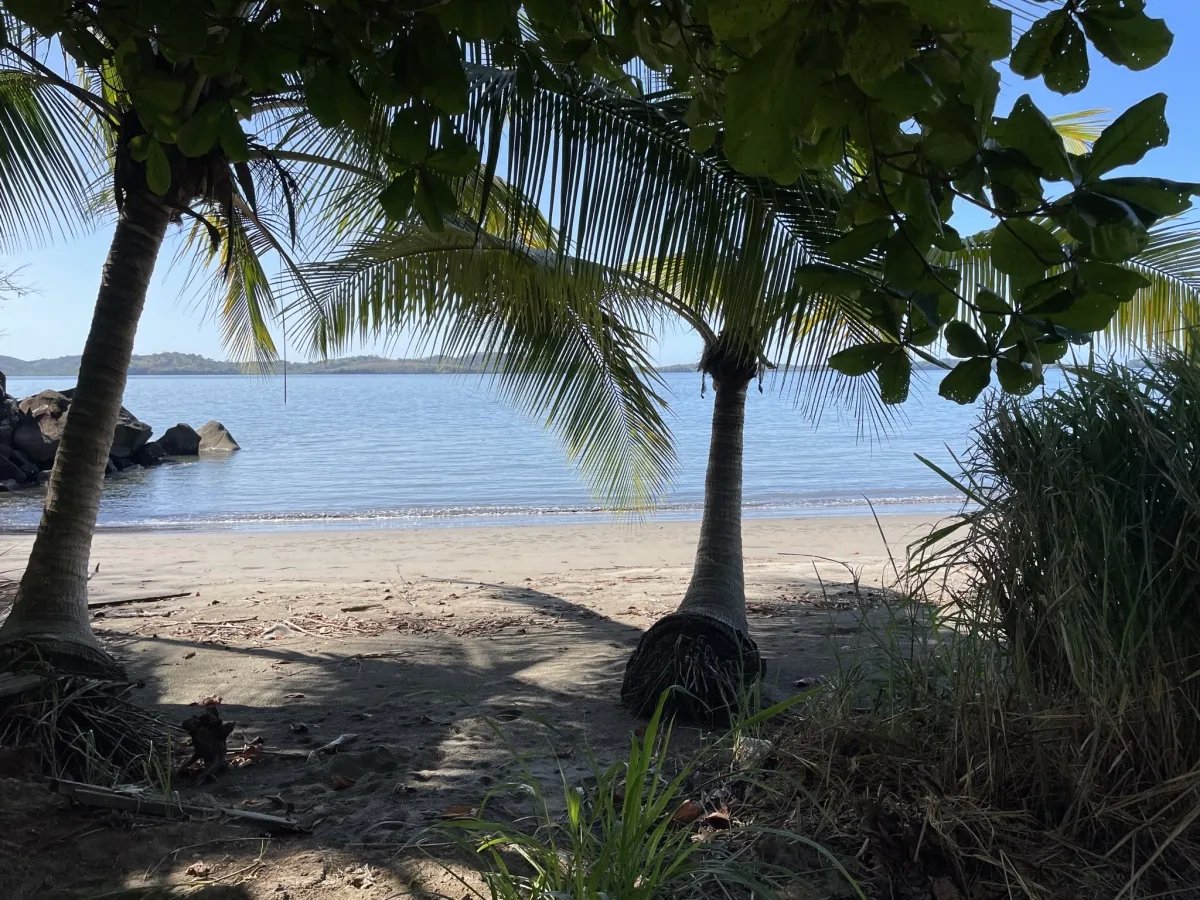 Your island in the sun - choose your lot!