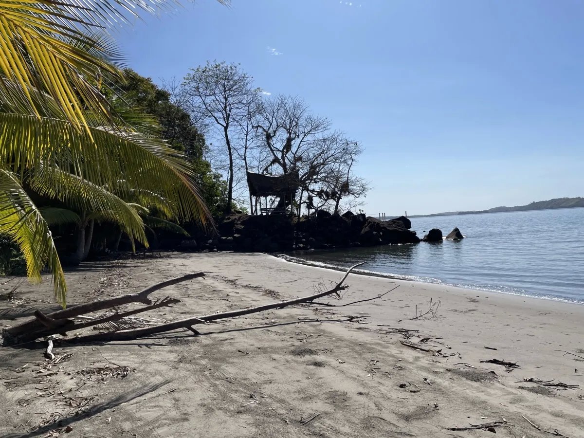 Your island in the sun - choose your lot!