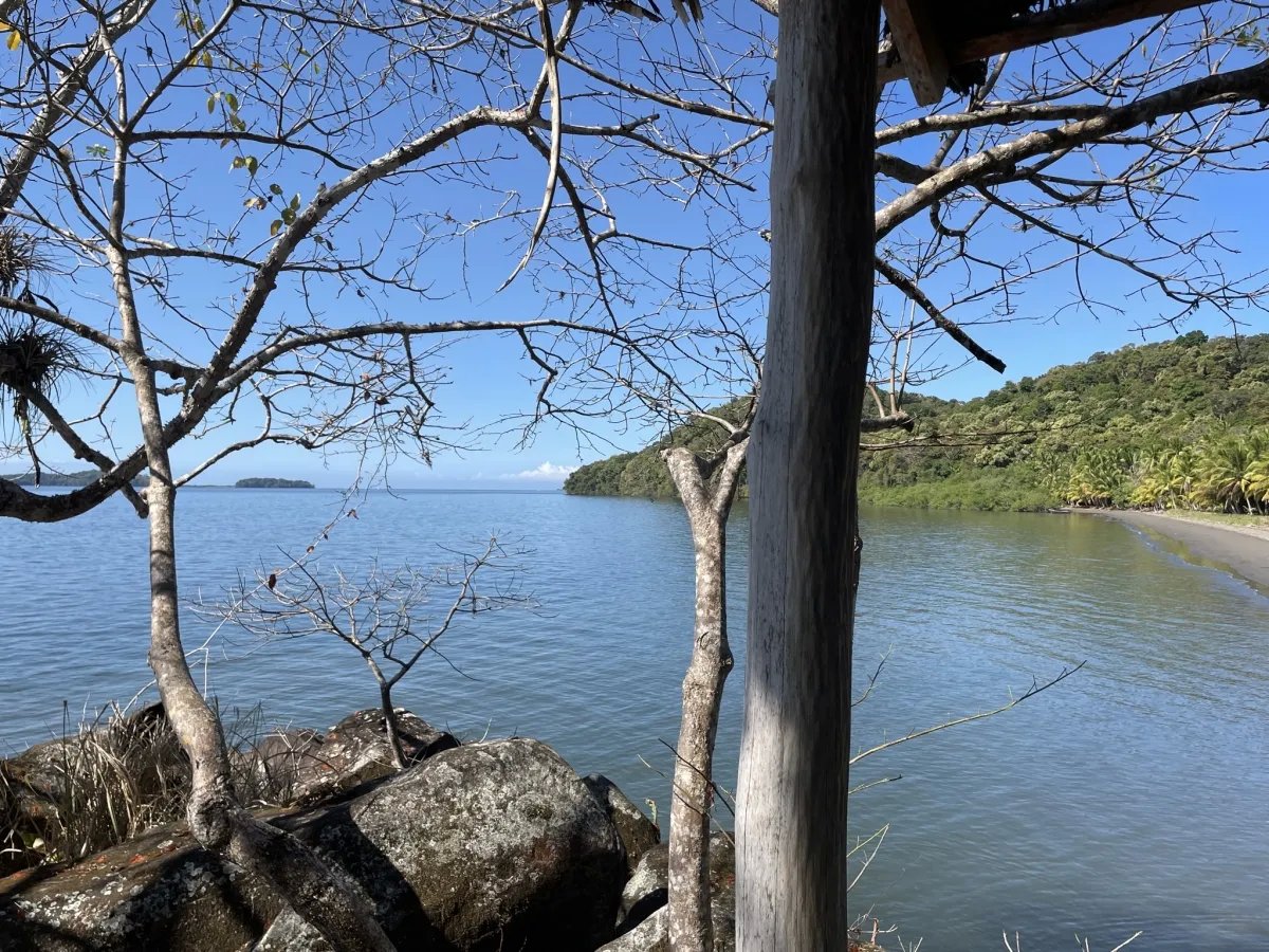 Su isla bajo el sol - ¡elija su parcela!