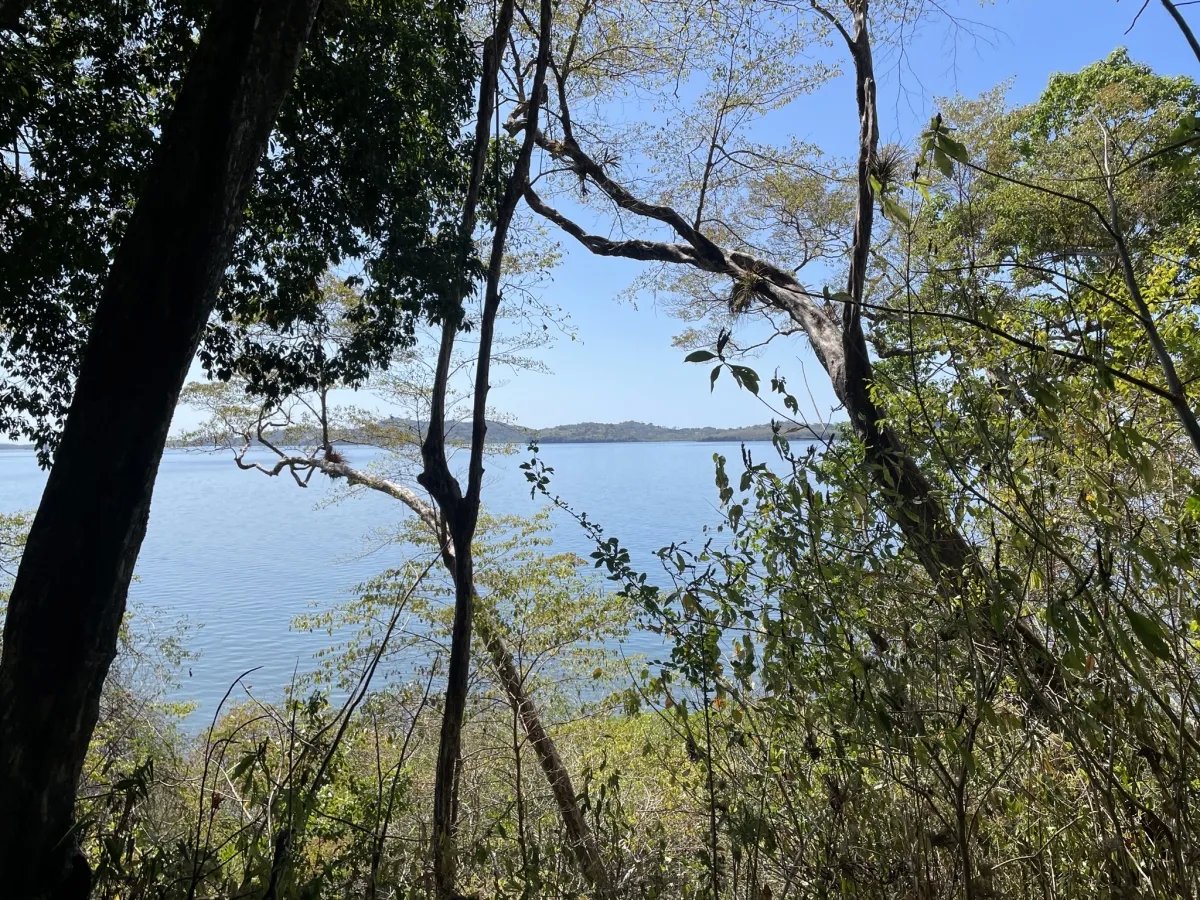 Su isla bajo el sol - ¡elija su parcela!