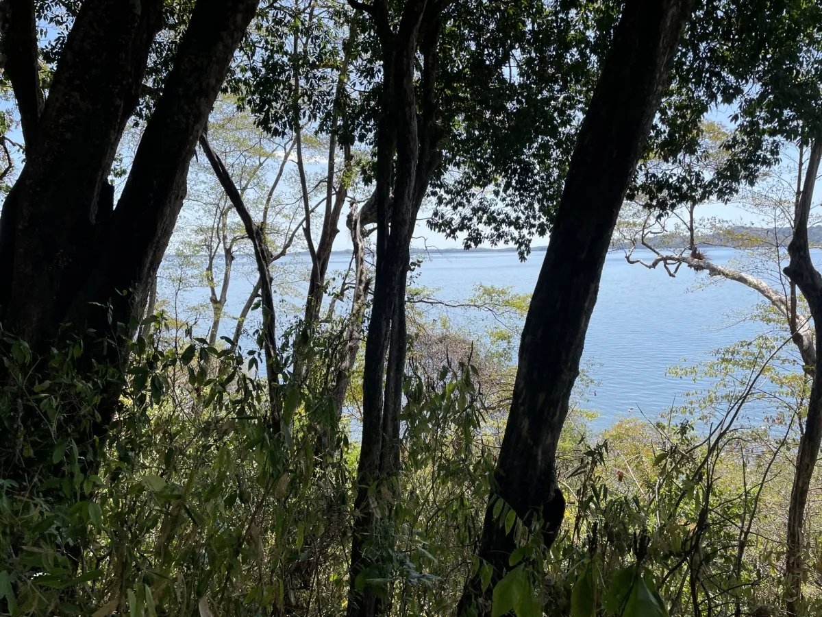Su isla bajo el sol - ¡elija su parcela!