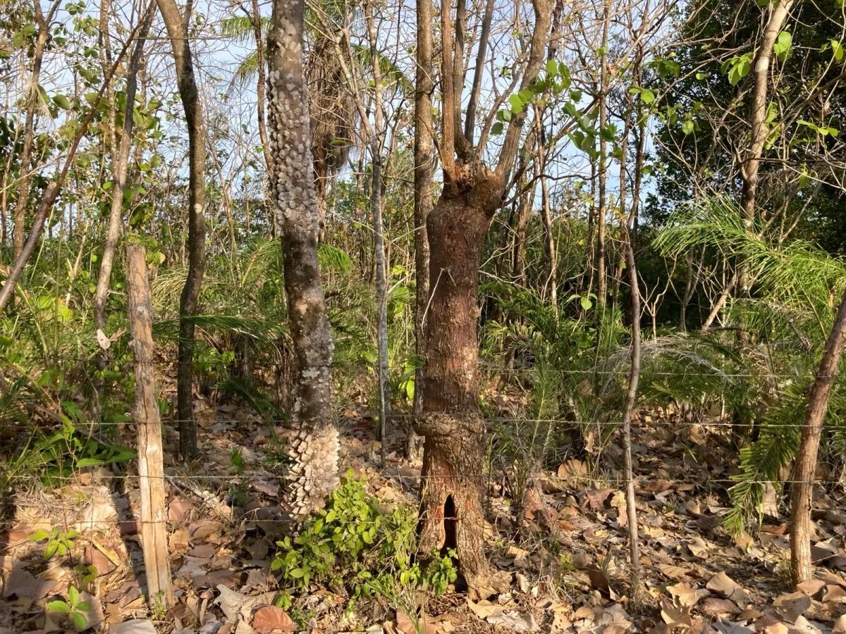 Propiedad tranquila cerca de la playa