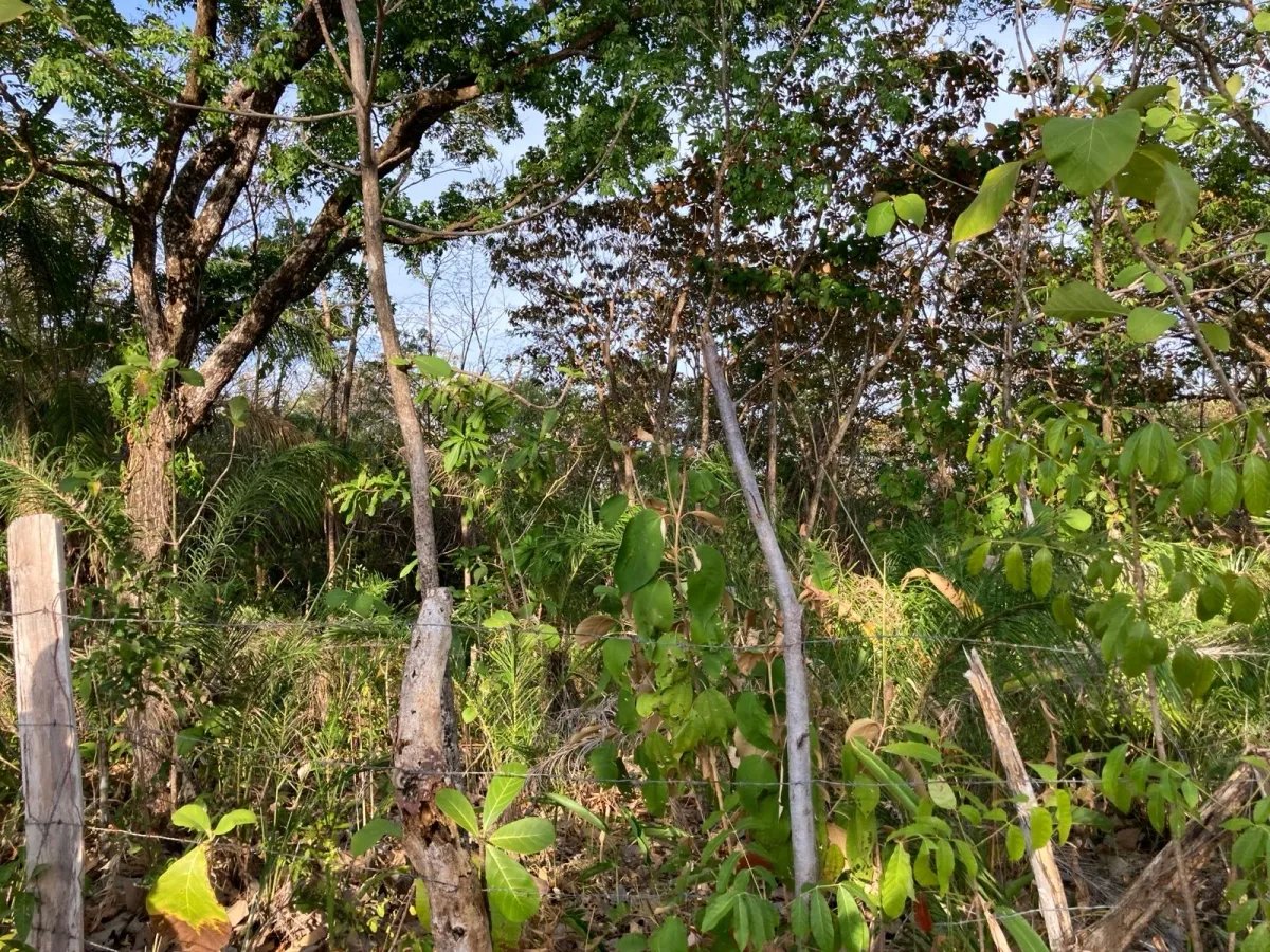 Propiedad tranquila cerca de la playa