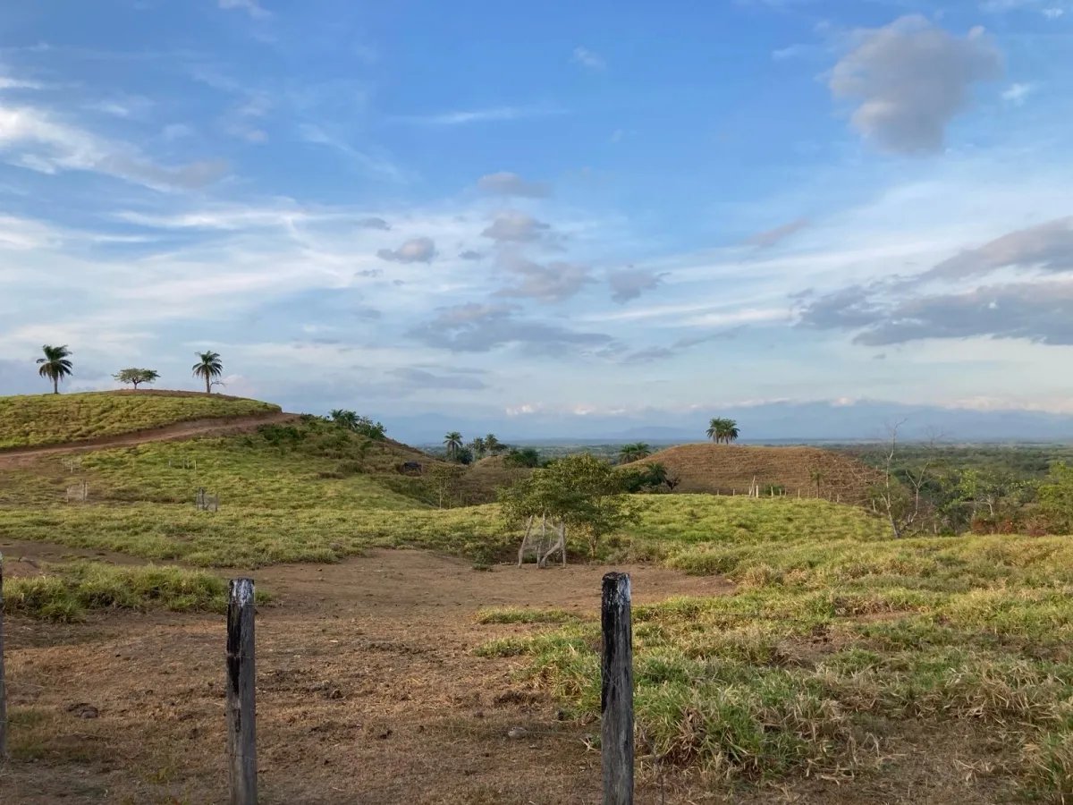 Property with distant views near the beach
