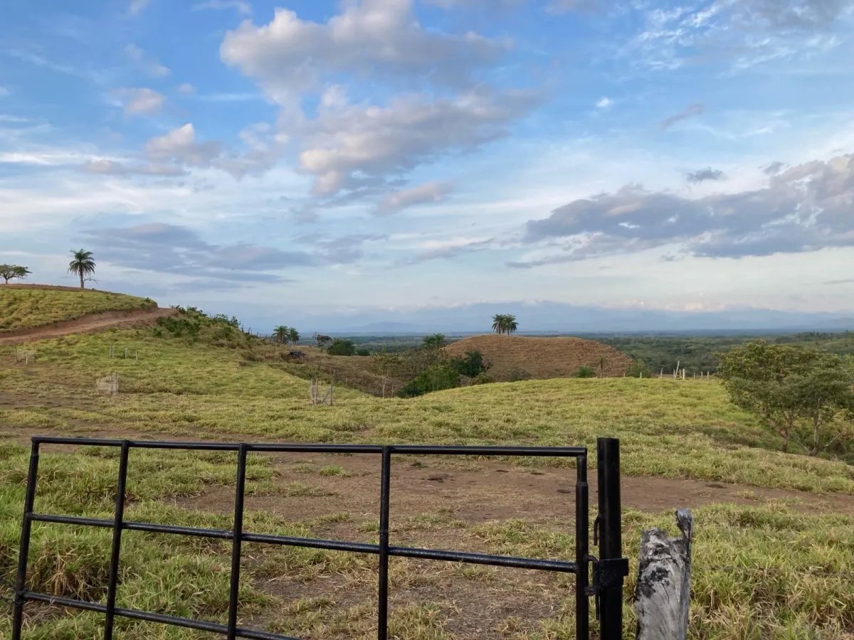 Property with distant views near the beach