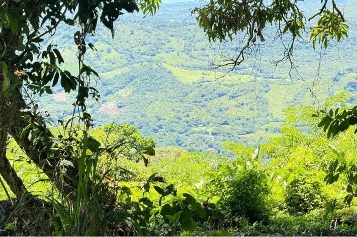 Finca en venta en Chicá, Chame