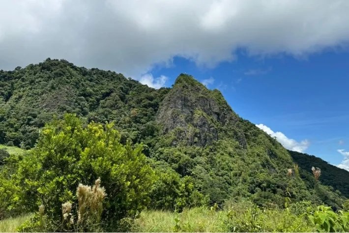 Finca en venta en Chicá, Chame