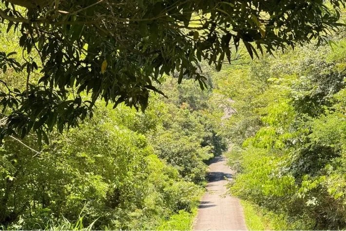 Finca en venta en Chicá, Chame