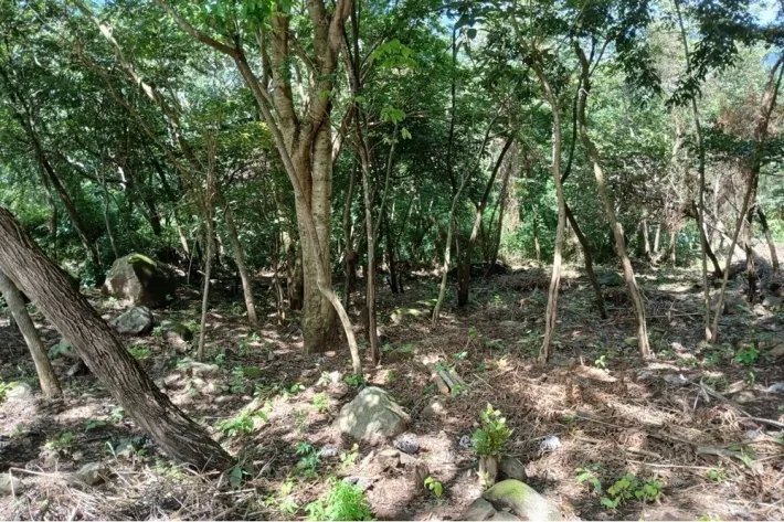 Terreno en venta en Aires de Chicá, Chame