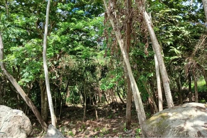 Terreno en venta en Aires de Chicá, Chame