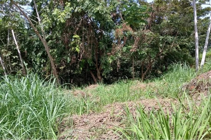 Terreno en venta en Aires de Chicá, Chame