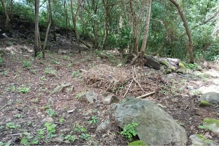 Terreno en venta en Aires de Chicá, Chame