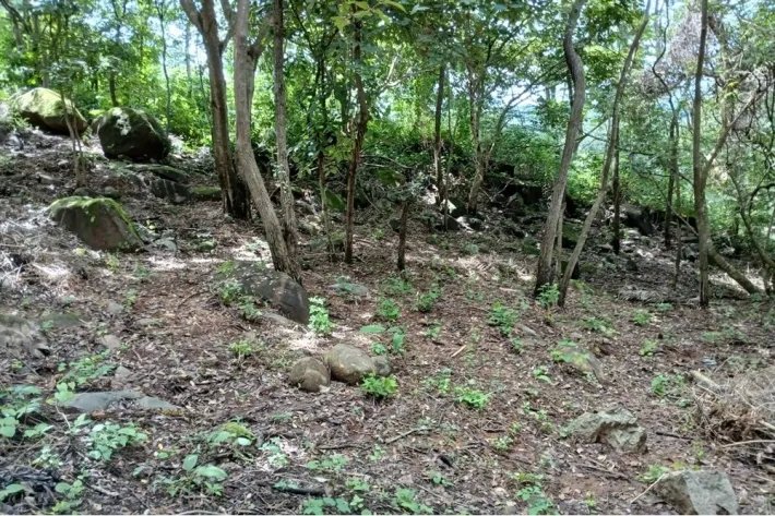 Terreno en venta en Aires de Chicá, Chame
