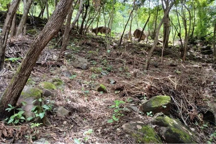 Terreno en venta en Aires de Chicá, Chame