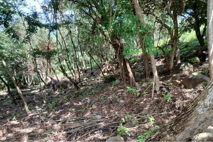 Terreno en venta en Aires de Chicá, Chame