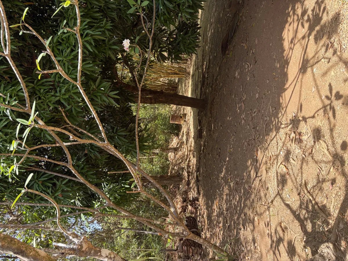 Villa in Boca Chica for sale